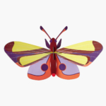 Studio Roof Purple Eyed Butterfly