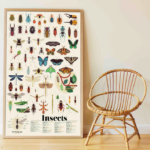 Poppik Stickers yinsects