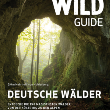 Buch Deutsche Wälder