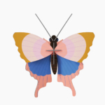 Studio Roof Schmetterling
