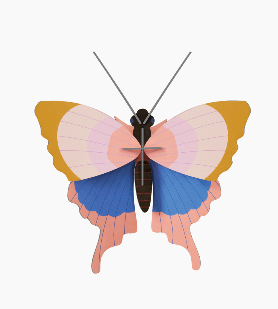 Studio Roof Schmetterling